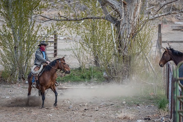 What kind of experience will your horse get out of your next ride?